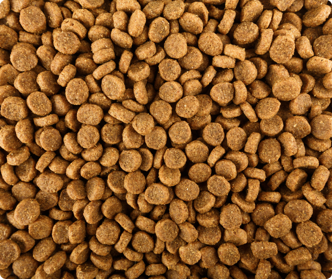 Fresh dog food ingredients
