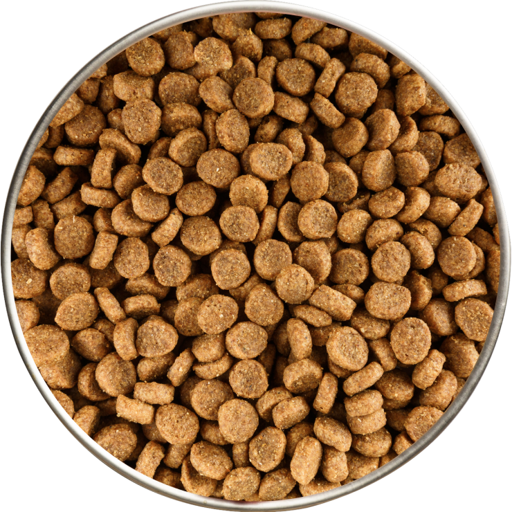 After – prepared food